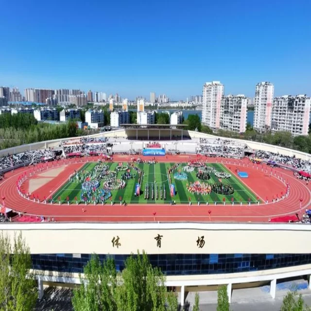 足球杯赛焦点对决:第278组阵容全景深度解读