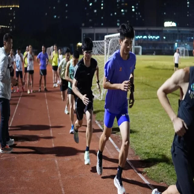 球队名单变化对赛程表现的深度解读